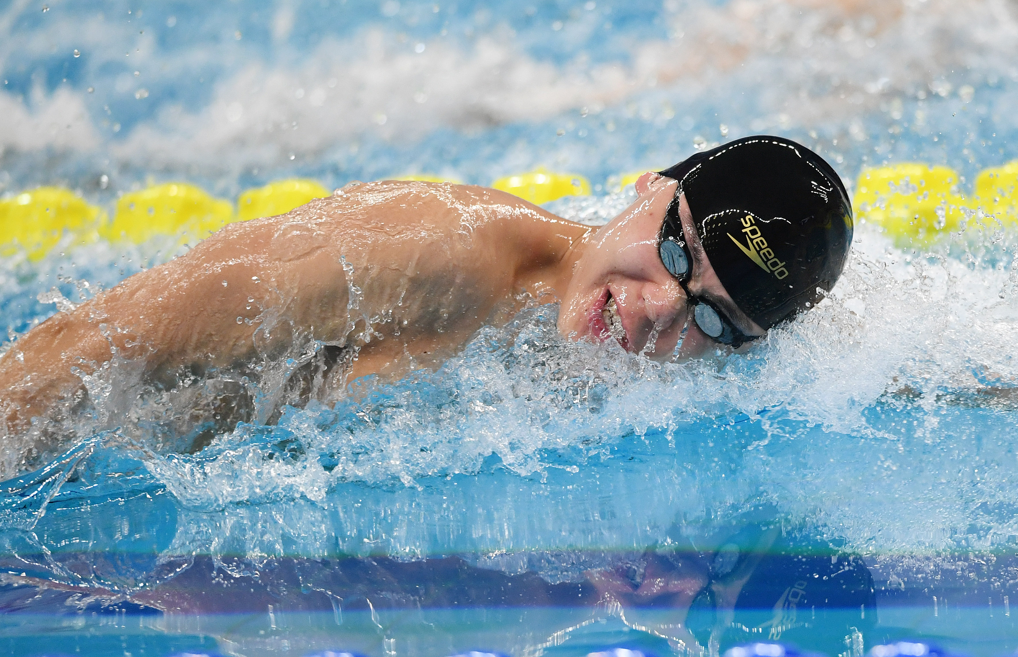 龙战虎争：游泳选手蝉联冠军的简单介绍