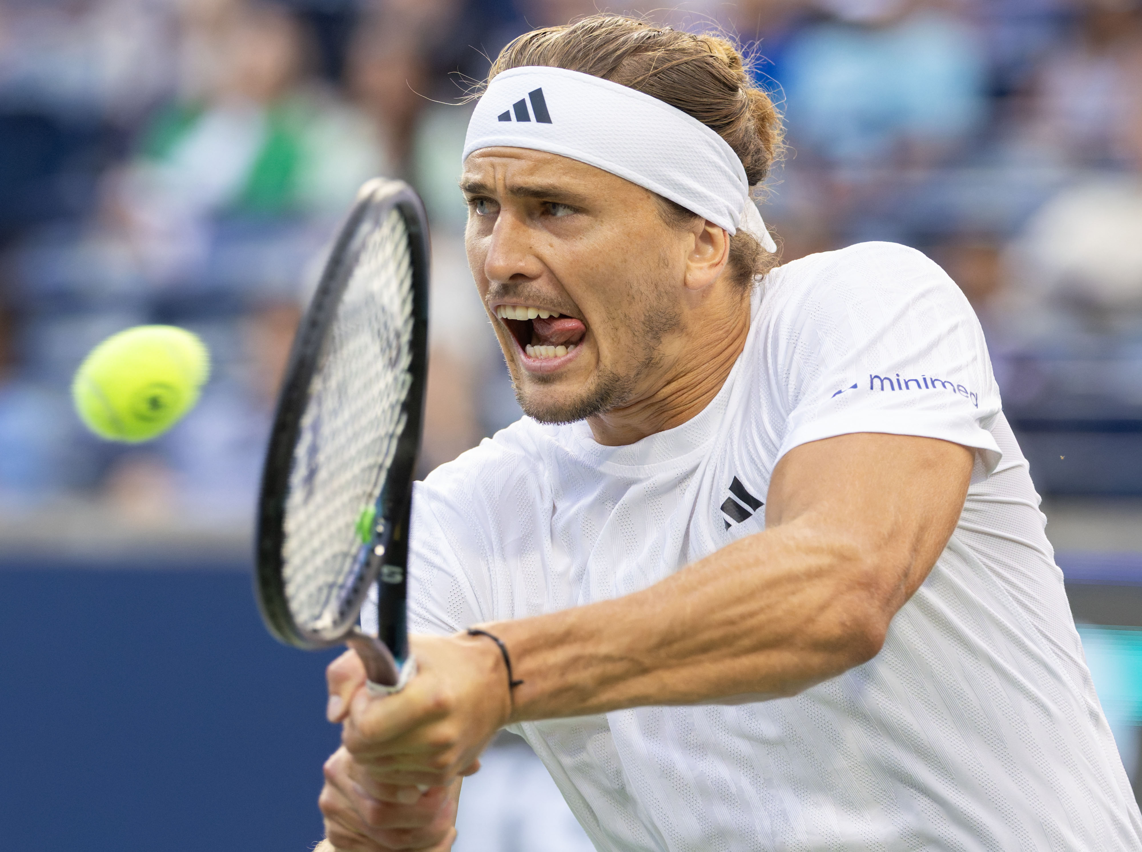 日本网球队逆转意大利网球队，兹维列夫打破历史纪录的简单介绍