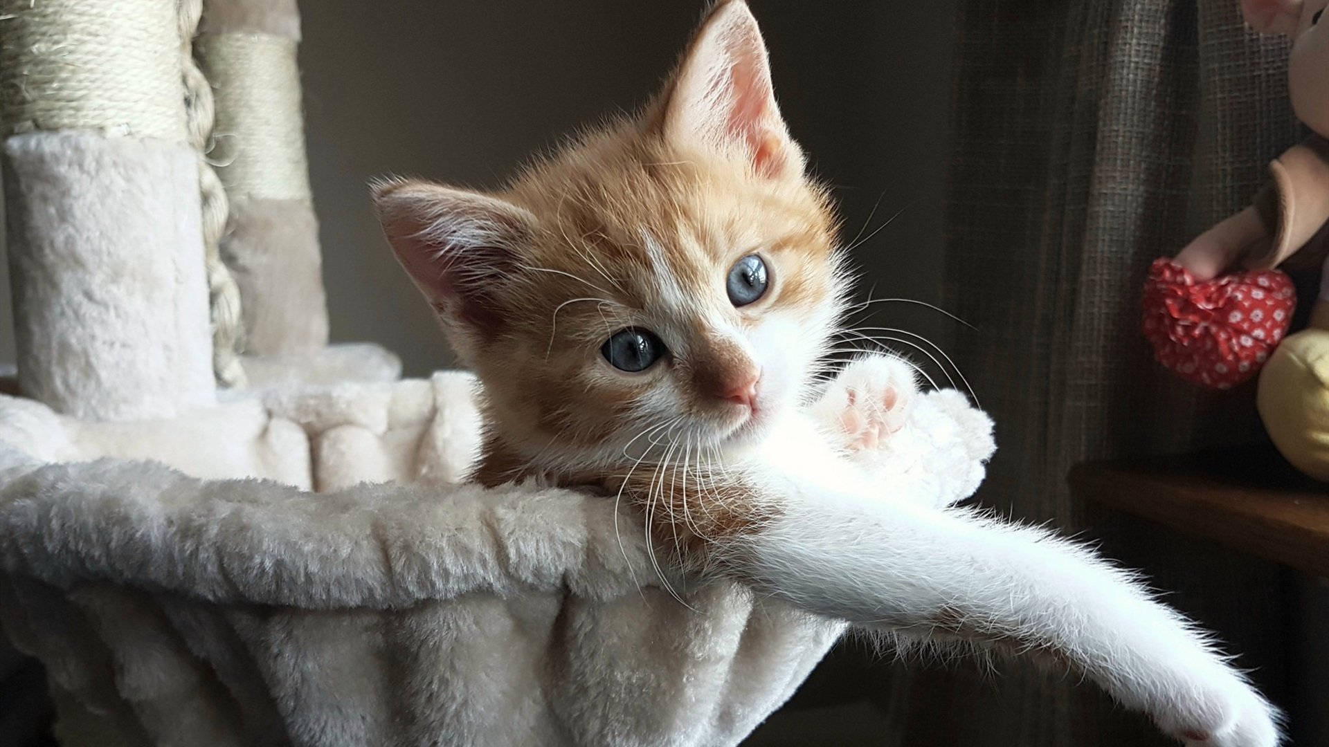 老鹰展翅横扫掘金,杰伦·格林关键一击定江山