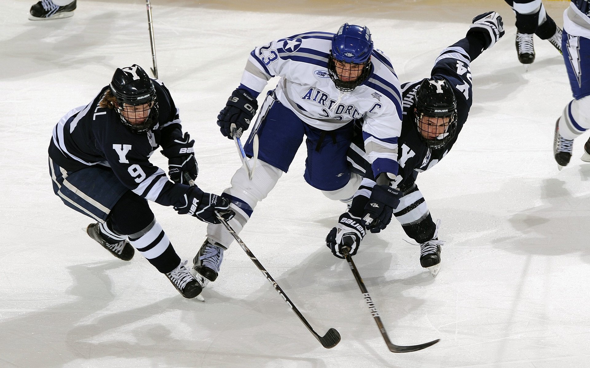 恩比德存在感拉满统治攻防，森林狼团队风暴打穿猛龙防线