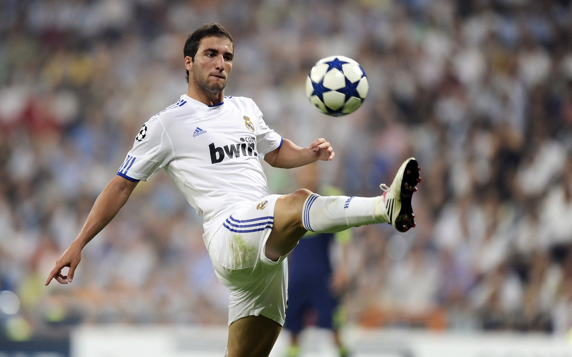 国王正面击溃黄蜂，范弗利特成为关键先生