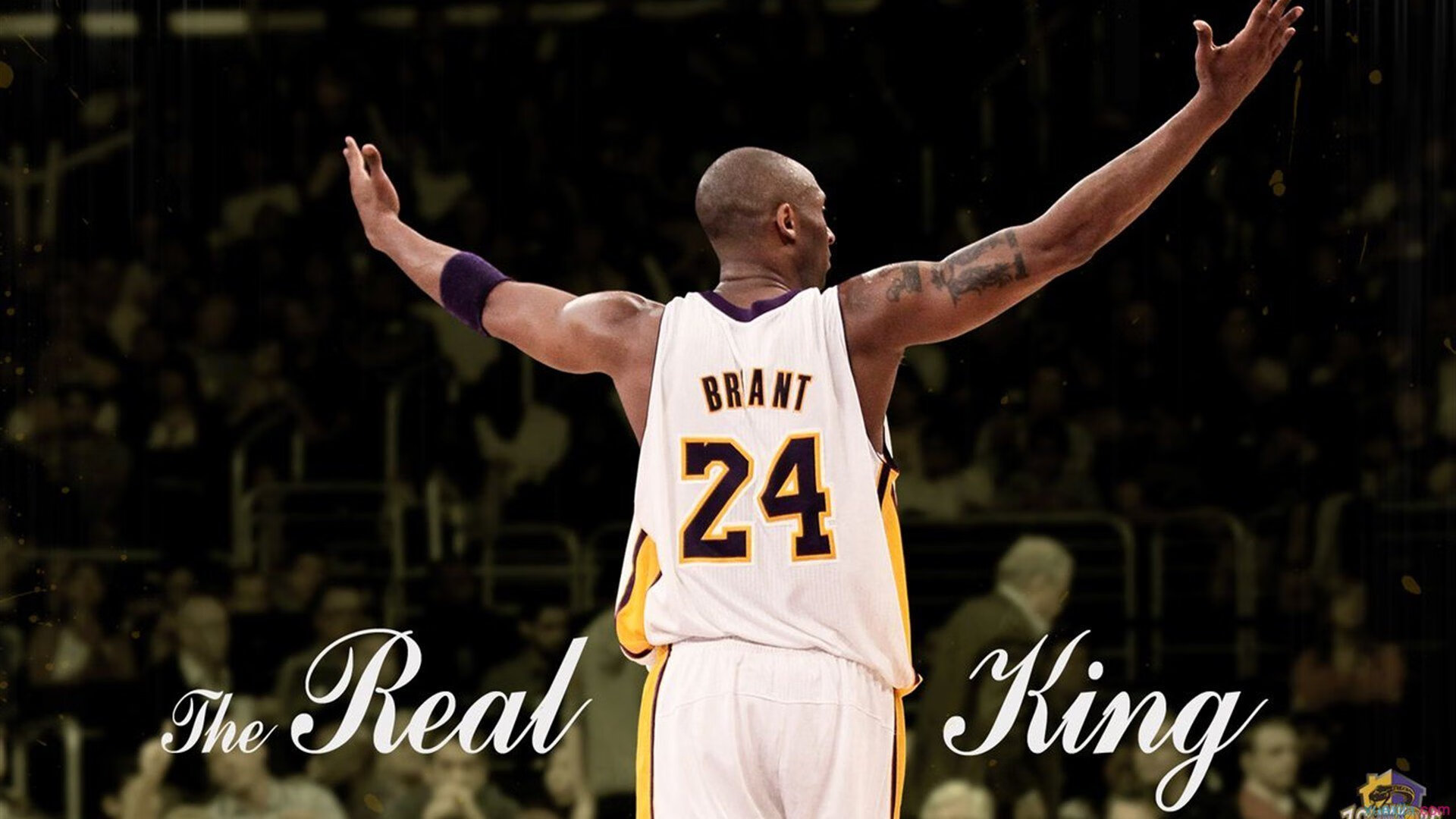 孤星坠落与金州之光，当库里用三分雨浇灭开拓者，篮网编织的不只是胜利